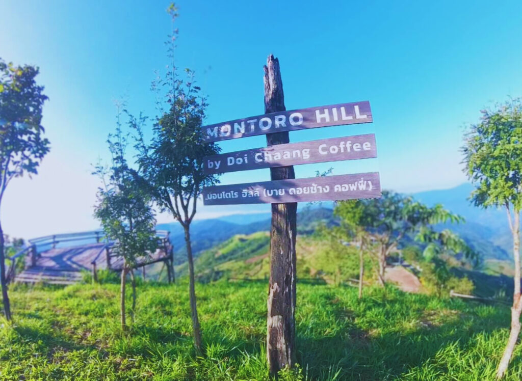 Montoro Hill by Doi Chaang Coffee ที่พักแบบลานแคมป์ปิ้งวิว 360 องศา