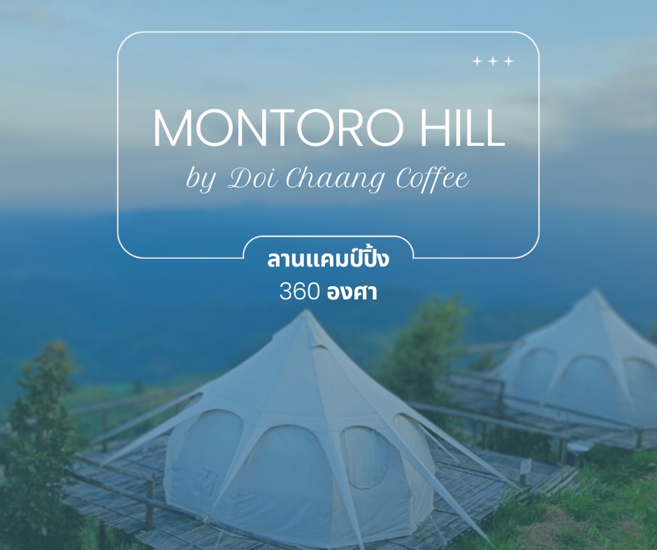 Montoro Hill by Doi Chaang Coffee ที่พักแบบลานแคมป์ปิ้งวิว 360 องศา
